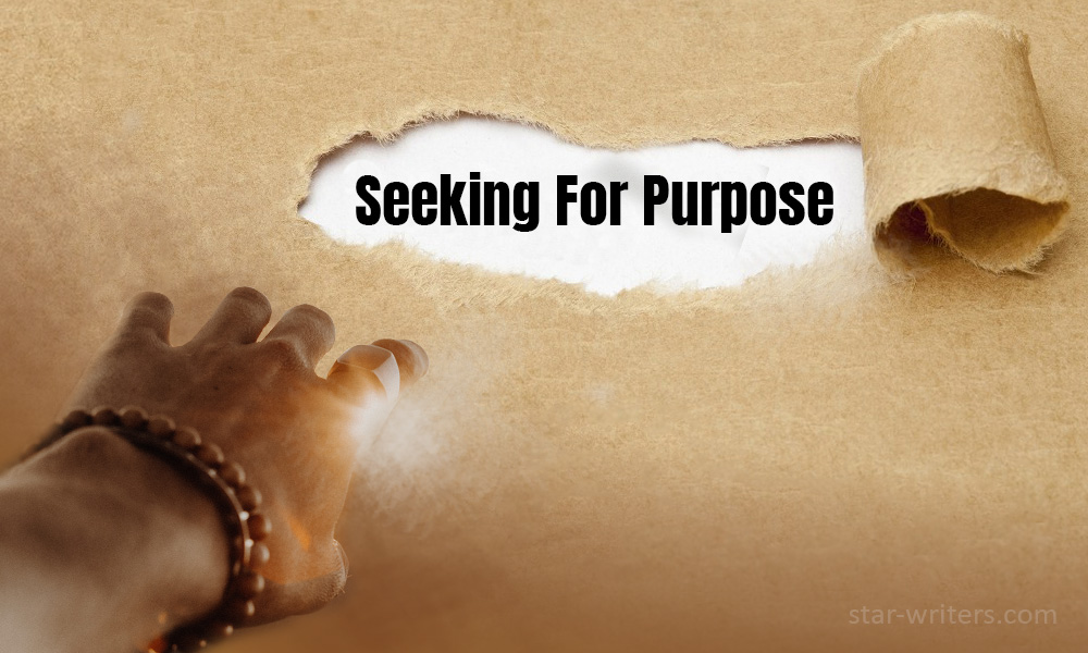 Seeking For Purpose