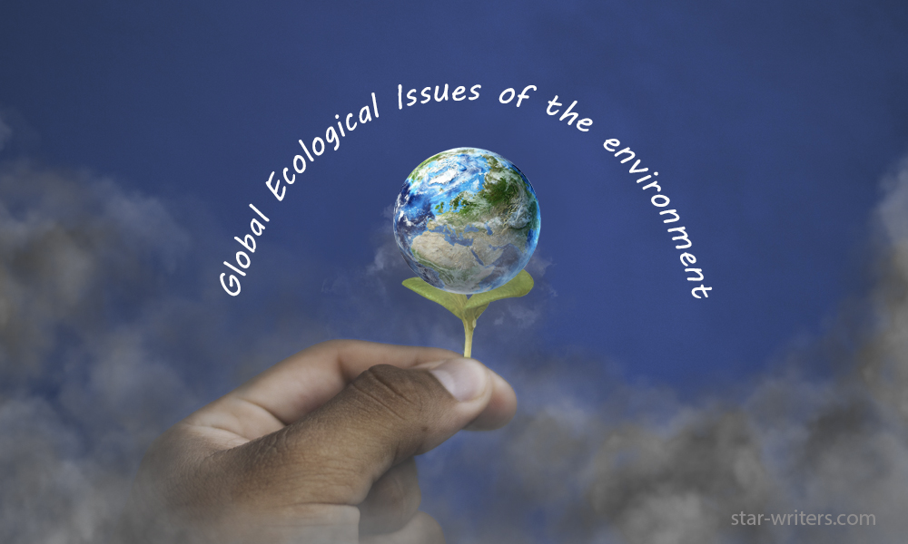 good environmental essay online