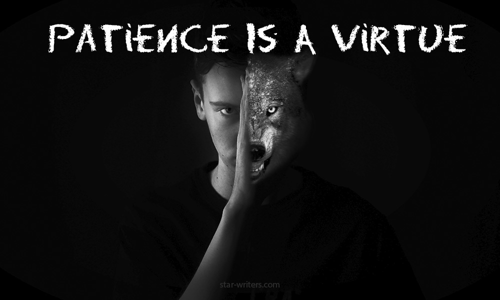patience_is_a_virtue